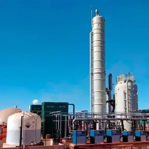 valor-ambiental-cocal-image-300-1